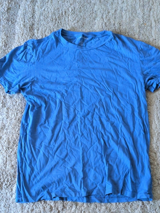 American Eagle Outfitters Other - American Eagle Outfitters Blue Crew Neck Short Sleeve Tee